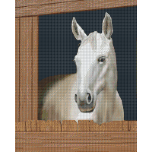 Kôň 816155